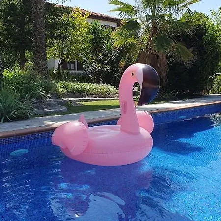 Casa Flamencos *